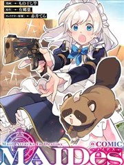 桔梗星翼标本页:桔梗科五角星形翅面